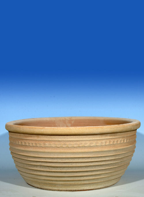 Aristea  25x50, 25x60cm
