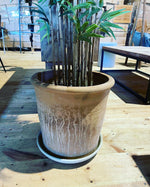 Astra  25x25, 43x43, 60x45cm