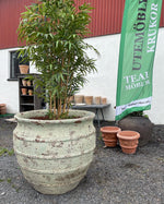Kreta Snake Jar